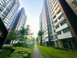 Blk 451A West Terra @ Bukit Batok (Bukit Batok), HDB 2 Rooms #634646211